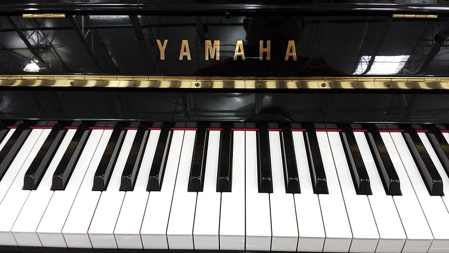 are Roland digital pianos better than Yamaha